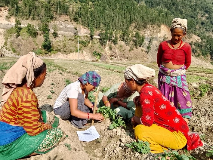 Resilient Livelihood for Earthquake-Affected Families of Rukum West (RELIEF) Project